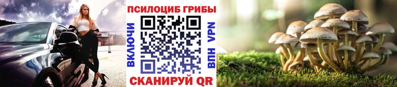 Псилоцибиновые грибы MAGIC MUSHROOMS  где купить наркоту  Ступино 